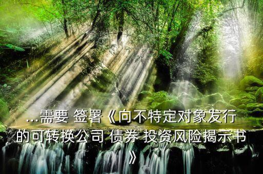 ...需要 簽署《向不特定對象發(fā)行的可轉(zhuǎn)換公司 債券 投資風(fēng)險揭示書》