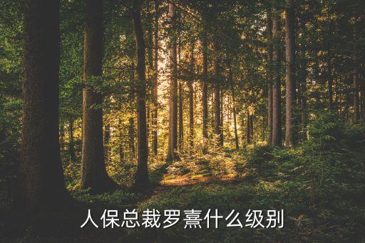 人?？偛昧_熹什么級(jí)別