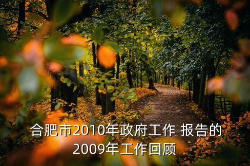  合肥市2010年政府工作 報告的2009年工作回顧