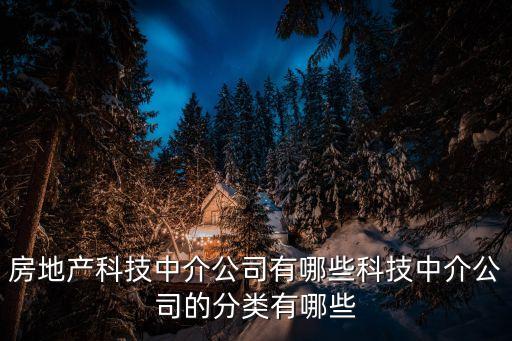 房地產(chǎn)科技中介公司有哪些科技中介公司的分類(lèi)有哪些