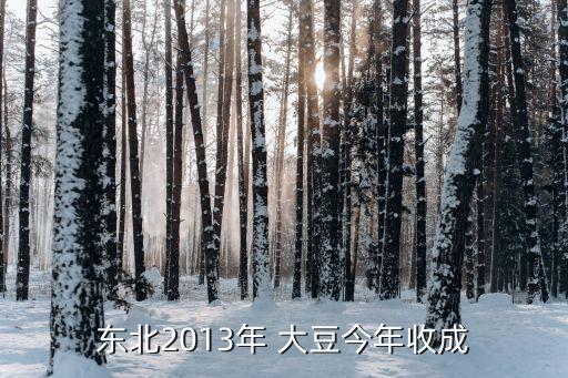 東北2013年 大豆今年收成