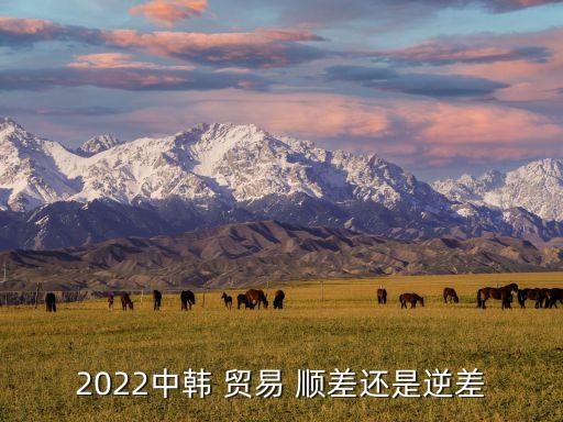 對中國貿(mào)易順差的國家,2022中國貿(mào)易順差國家排行