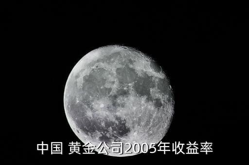 中國 黃金公司2005年收益率