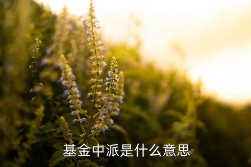 富國城鎮(zhèn)基金分紅派現(xiàn),富國分紅基金今天分紅公告