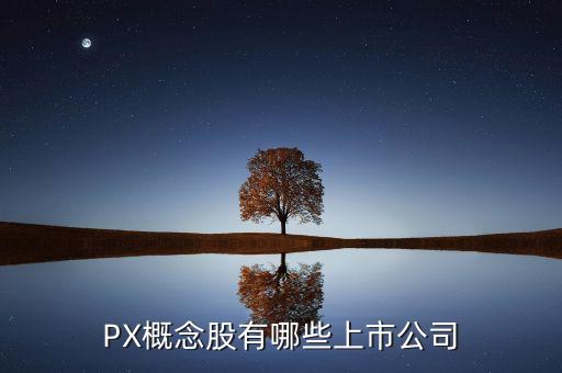 PX概念股有哪些上市公司