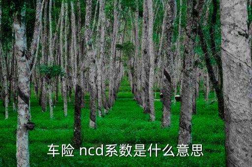 車險 ncd系數(shù)是什么意思