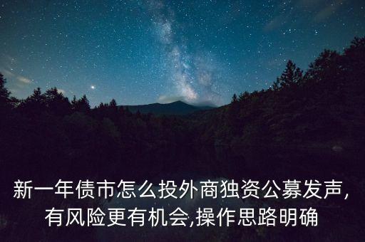 新一年債市怎么投外商獨資公募發(fā)聲,有風險更有機會,操作思路明確