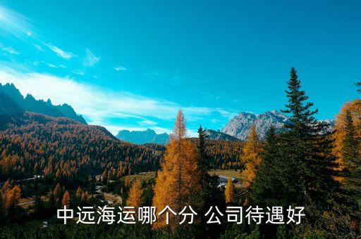 中遠(yuǎn)海運(yùn)哪個(gè)分 公司待遇好