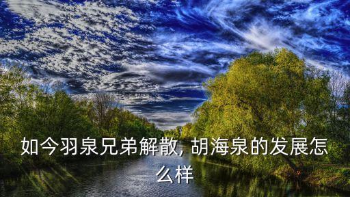 如今羽泉兄弟解散, 胡海泉的發(fā)展怎么樣