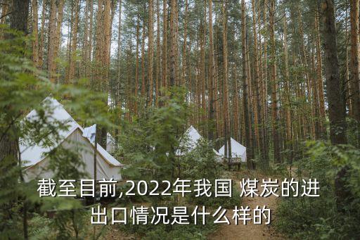 截至目前,2022年我國 煤炭的進出口情況是什么樣的