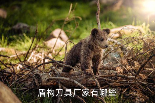 浙江天銀技術(shù)合金有限公司,常熟市天銀智能化技術(shù)有限公司