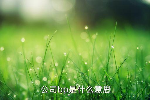  公司bp是什么意思