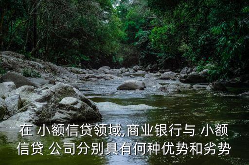 在 小額信貸領(lǐng)域,商業(yè)銀行與 小額信貸 公司分別具有何種優(yōu)勢和劣勢