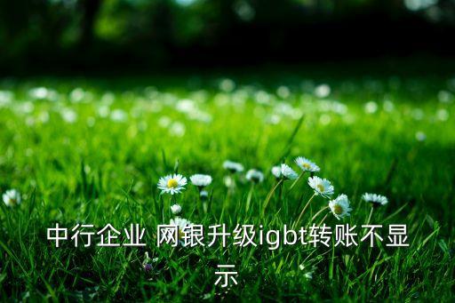 中行企業(yè) 網(wǎng)銀升級(jí)igbt轉(zhuǎn)賬不顯示