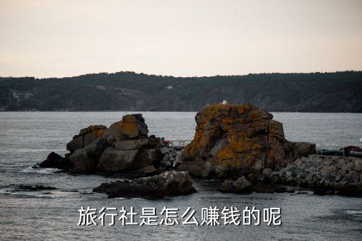 出境游旅游公司利潤,旅游公司利潤點在什么地方