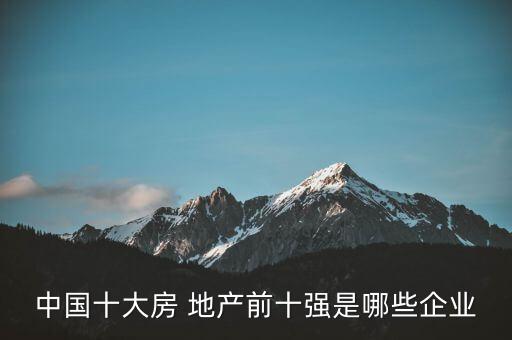 中國(guó)十大房 地產(chǎn)前十強(qiáng)是哪些企業(yè)