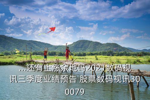 ...還有上漲余地嗎2021數(shù)碼視訊三季度業(yè)績預(yù)告 股票數(shù)碼視訊300079