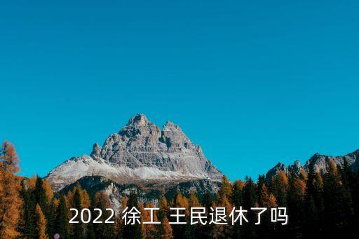 2022 徐工 王民退休了嗎