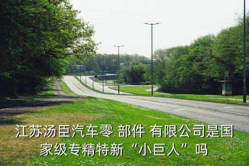 揚州市江都區(qū)洪業(yè)汽車部件有限公司