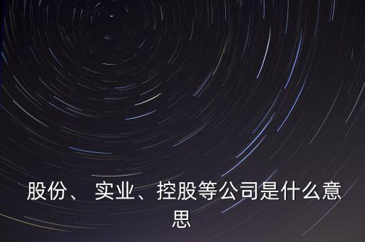  股份、 實業(yè)、控股等公司是什么意思