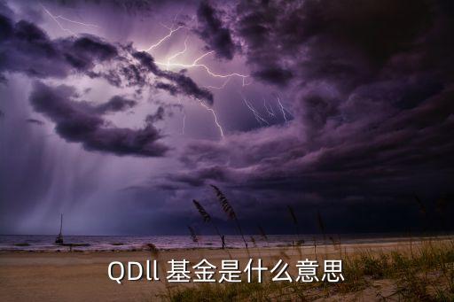 QDll 基金是什么意思