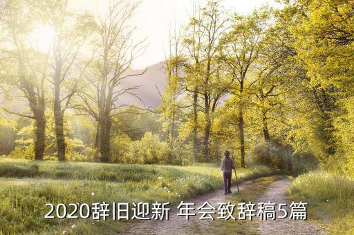 2020辭舊迎新 年會致辭稿5篇