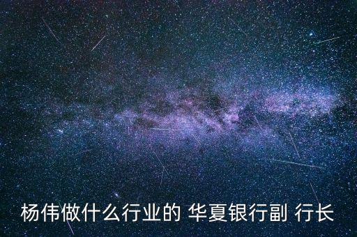 楊偉做什么行業(yè)的 華夏銀行副 行長