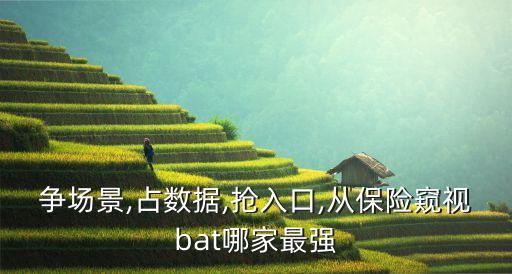 爭場景,占數(shù)據(jù),搶入口,從保險(xiǎn)窺視bat哪家最強(qiáng)