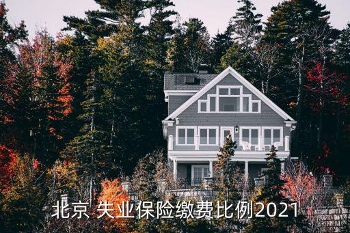 北京 失業(yè)保險(xiǎn)繳費(fèi)比例2021