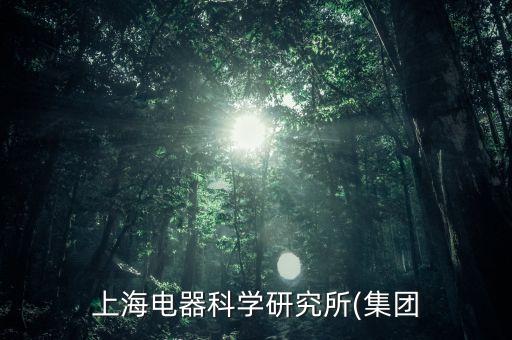 上海電器科學研究所(集團