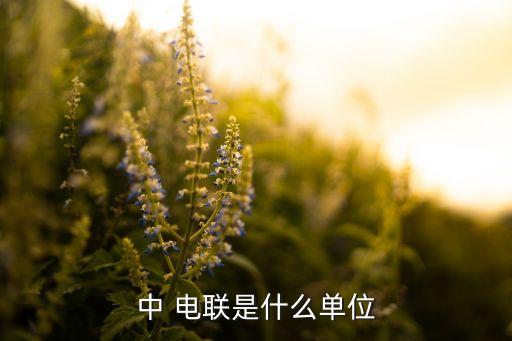 南京中電聯(lián)電力集團(tuán)有限公司,國家電力投資集團(tuán)有限公司 南京 何