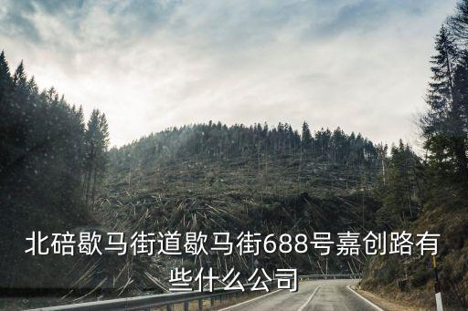 北碚歇馬街道歇馬街688號嘉創(chuàng)路有些什么公司