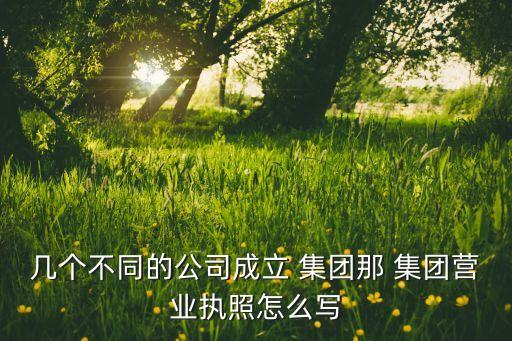 幾個(gè)不同的公司成立 集團(tuán)那 集團(tuán)營(yíng)業(yè)執(zhí)照怎么寫(xiě)