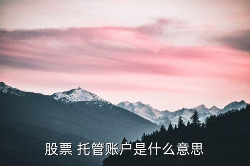 股票 托管賬戶是什么意思