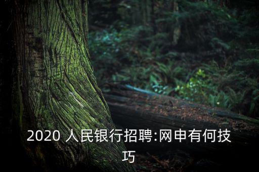 2020 人民銀行招聘:網(wǎng)申有何技巧