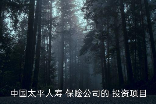 中國太平人壽 保險(xiǎn)公司的 投資項(xiàng)目