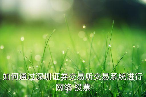 如何通過深圳證券交易所交易系統(tǒng)進行網(wǎng)絡 投票