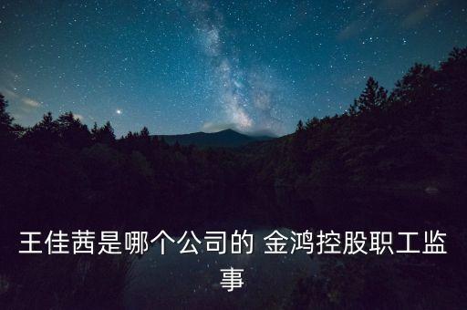 王佳茜是哪個公司的 金鴻控股職工監(jiān)事