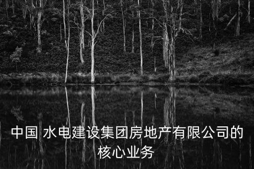 中國(guó) 水電建設(shè)集團(tuán)房地產(chǎn)有限公司的核心業(yè)務(wù)