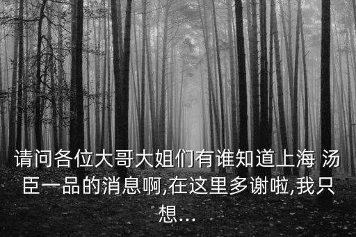 請問各位大哥大姐們有誰知道上海 湯臣一品的消息啊,在這里多謝啦,我只想...