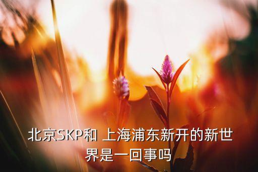  北京SKP和 上海浦東新開的新世界是一回事嗎