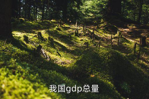 我國gdp總量