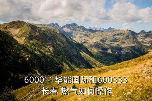 600011華能國際和600333 長春 燃?xì)馊绾尾僮? class=