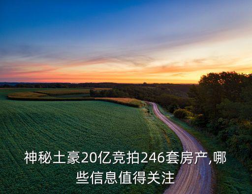 神秘土豪20億競拍246套房產(chǎn),哪些信息值得關(guān)注