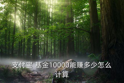 支付寶 基金10000能賺多少怎么計(jì)算