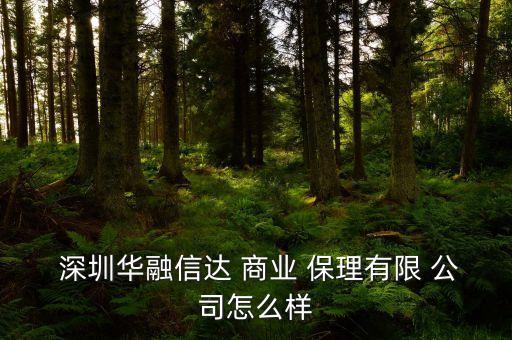  深圳華融信達 商業(yè) 保理有限 公司怎么樣