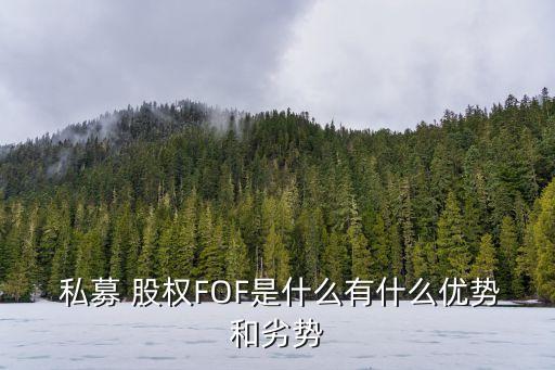 私募股權投資前景,不動產(chǎn)私募股權投資基金