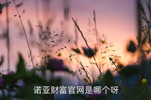  諾亞財(cái)富官網(wǎng)是哪個(gè)呀