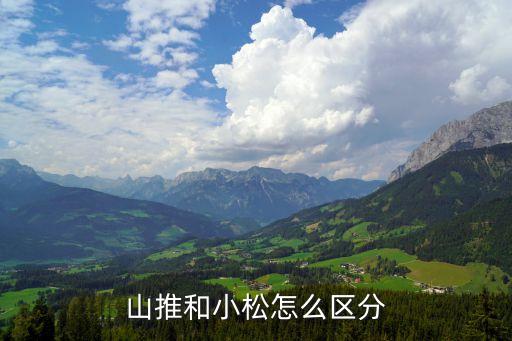 青島東碧山推機械有限公司,德楓丹(青島)機械有限公司