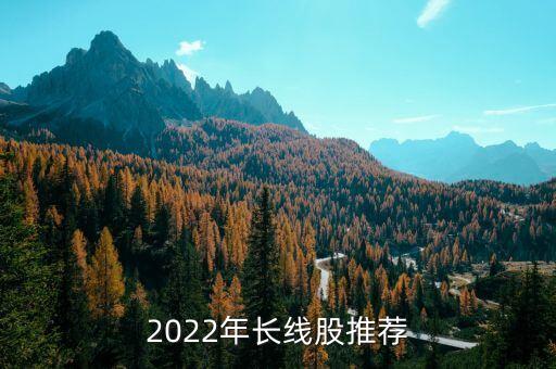 2022年長(zhǎng)線股推薦